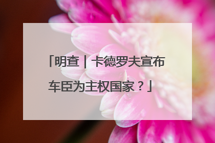 明查｜卡德罗夫宣布车臣为主权国家？