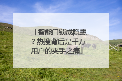 智能门锁成隐患？热搜背后是千万用户的夹手之痛