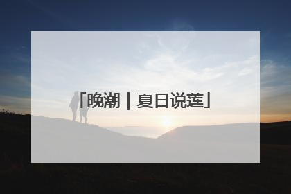 晚潮｜夏日说莲