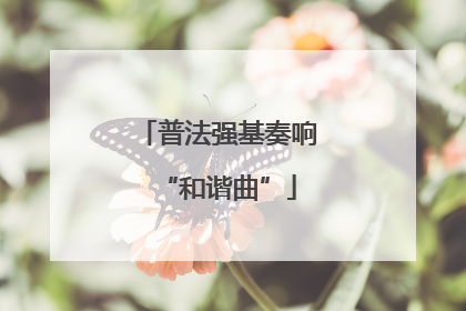 普法强基奏响“和谐曲”