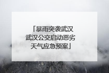 暴雨突袭武汉 武汉公交启动恶劣天气应急预案