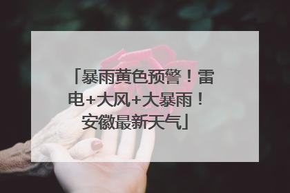 暴雨黄色预警！雷电+大风+大暴雨！安徽最新天气