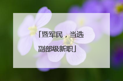 暨军民，当选副部级新职