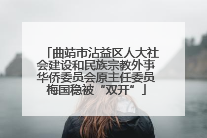 曲靖市沾益区人大社会建设和民族宗教外事华侨委员会原主任委员梅国稳被“双开”