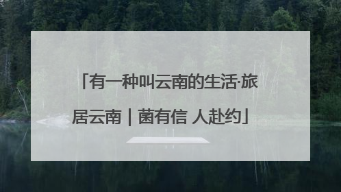 有一种叫云南的生活·旅居云南｜菌有信 人赴约