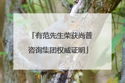 有范先生荣获尚普咨询集团权威证明