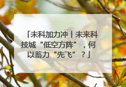 未科加力冲丨未来科技城“低空方阵”，何以蓄力“先飞”？