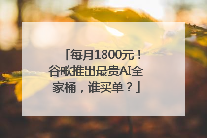 每月1800元！谷歌推出最贵AI全家桶，谁买单？