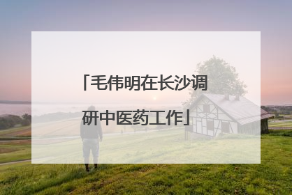 毛伟明在长沙调研中医药工作