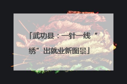 武功县：一针一线“绣”出就业新图景