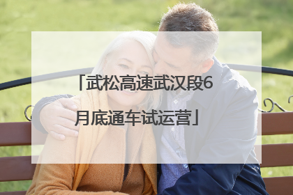 武松高速武汉段6月底通车试运营