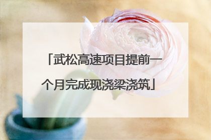 武松高速项目提前一个月完成现浇梁浇筑