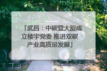武昌：中碳登大厦成立楼宇党委 推进双碳产业高质量发展
