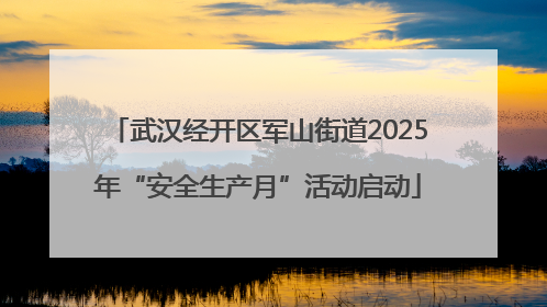 武汉经开区军山街道2025年“安全生产月”活动启动