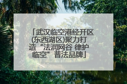 武汉临空港经开区(东西湖区)聚力打造“法润网谷 律护临空”普法品牌