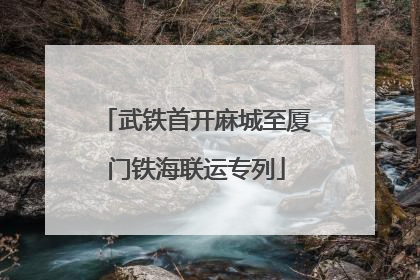 武铁首开麻城至厦门铁海联运专列
