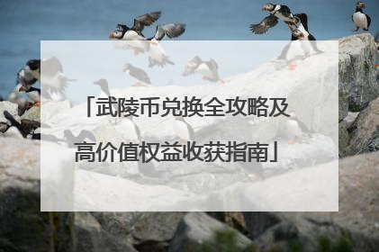 武陵币兑换全攻略及高价值权益收获指南