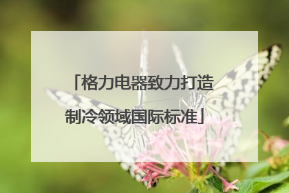 格力电器致力打造制冷领域国际标准