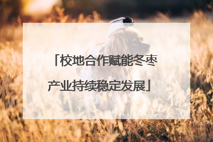 校地合作赋能冬枣产业持续稳定发展