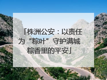 株洲公安：以责任为“粽叶”守护满城粽香里的平安