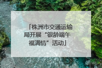 株洲市交通运输局开展“银龄端午福满情”活动