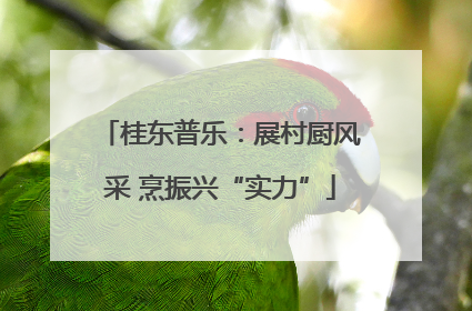 桂东普乐：展村厨风采 烹振兴“实力”