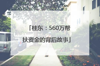 桂东：560万帮扶资金的背后故事