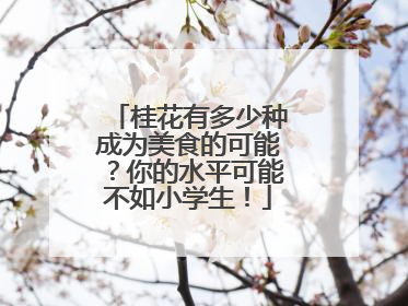 桂花有多少种成为美食的可能？你的水平可能不如小学生！