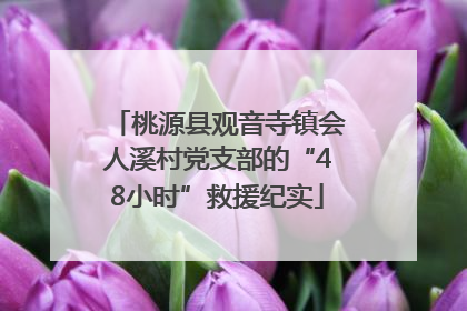 桃源县观音寺镇会人溪村党支部的“48小时”救援纪实