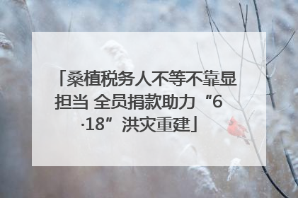 桑植税务人不等不靠显担当 全员捐款助力“6·18”洪灾重建