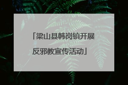 梁山县韩岗镇开展反邪教宣传活动