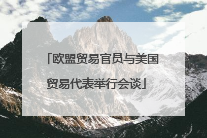 欧盟贸易官员与美国贸易代表举行会谈