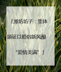 潍坊坊子：集体颁证以婚俗新风酿“爱情美满”