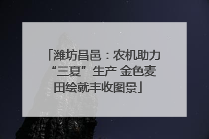 潍坊昌邑：农机助力“三夏”生产 金色麦田绘就丰收图景