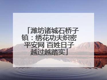 潍坊诸城石桥子镇：绣花功夫织密平安网 百姓日子越过越踏实