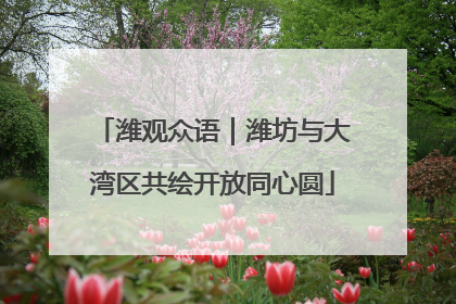 潍观众语｜潍坊与大湾区共绘开放同心圆