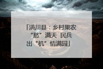潢川县：乡村果农“愁”满天  民兵出“机”情满园