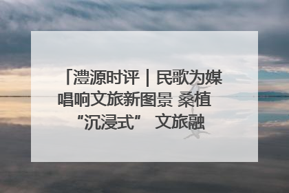 澧源时评｜民歌为媒唱响文旅新图景 桑植 “沉浸式” 文旅融合的破圈启示