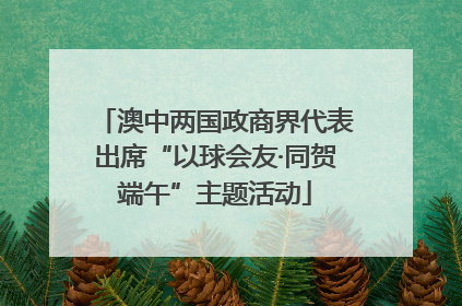澳中两国政商界代表出席“以球会友·同贺端午”主题活动