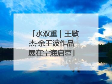 水双重｜王敏杰·余王波作品展在宁海启幕