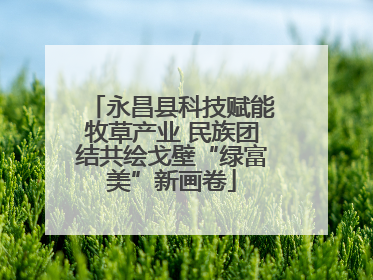 永昌县科技赋能牧草产业 民族团结共绘戈壁“绿富美”新画卷