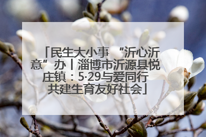民生大小事 “沂心沂意”办丨淄博市沂源县悦庄镇：5·29与爱同行 共建生育友好社会