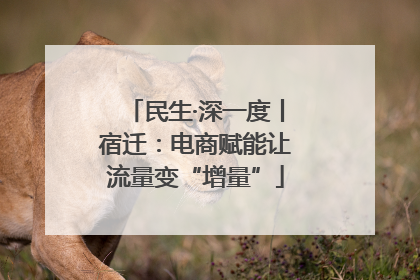 民生·深一度丨宿迁：电商赋能让流量变“增量”