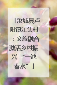 汝城县卢阳镇江头村：文旅融合激活乡村振兴 “一池春水”