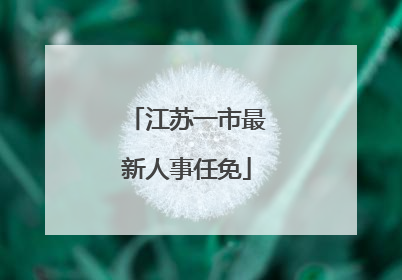 江苏一市最新人事任免