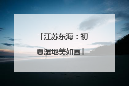 江苏东海：初夏湿地美如画