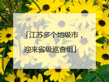 江苏多个地级市，迎来省级巡查组