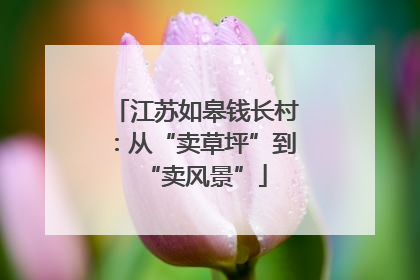 江苏如皋钱长村：从“卖草坪”到“卖风景”