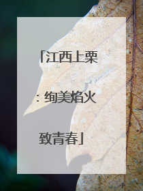 江西上栗：绚美焰火致青春