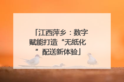 江西萍乡：数字赋能打造“无纸化”配送新体验